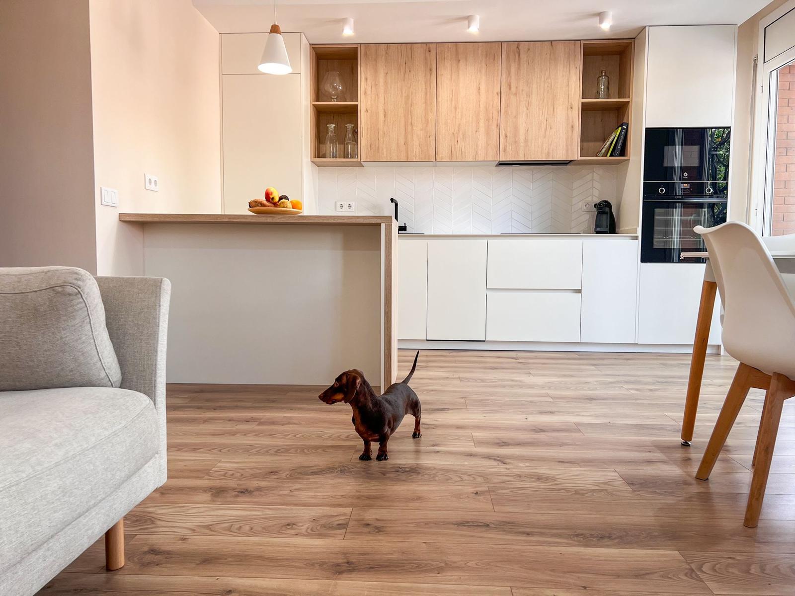 Cocina moderna con isla